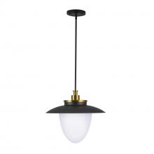 Artcraft AC11906BB - Dahlia 3 Light Pendant 20&#34;, Brushed Brass