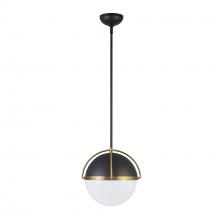 Artcraft AC12040BB - Dahlia 1 Light Pendant 15.4&#34;, Black, Brushed Brass