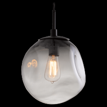 Hammerton LAB0062-01-BS-A-C01-E2 - Aster Pendant-Incandescent