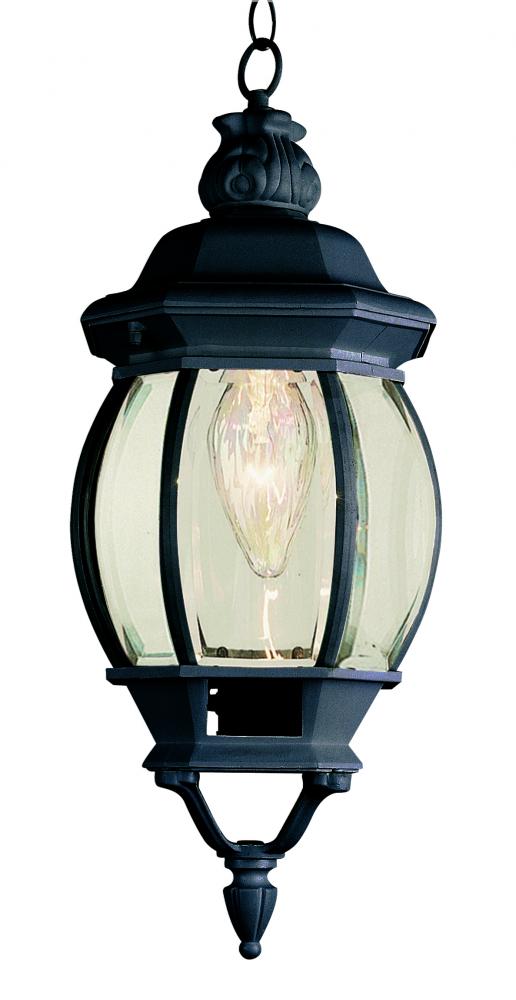 1LT SMALL HANGING LANTERN-OUTD