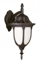 Trans Globe 4048 BK - Hamilton 13&#34; Wall Lantern