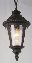 Trans Globe 5049 BK - Commons 17&#34; Hanging Lantern