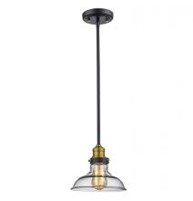 Trans Globe 70823 ROB - Jackson 8&#34; wide Pendant