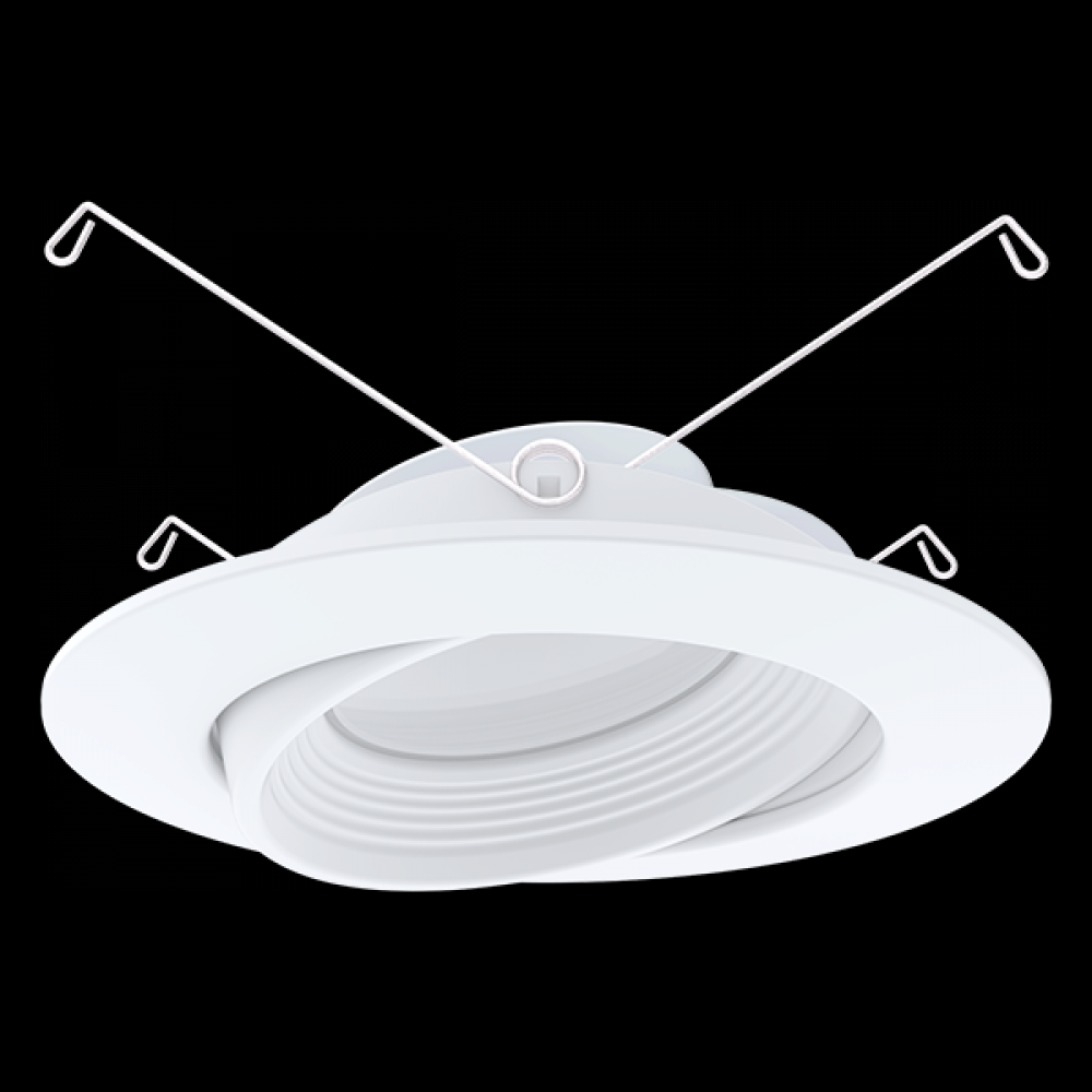 Advantage Direct Select 6 downlight swivel